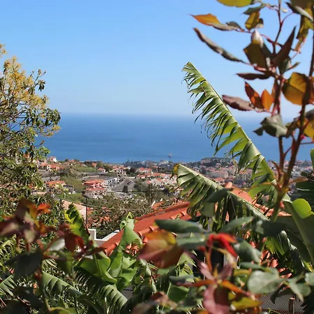 Alojamento Funchal - Silvestre House Exterior photo